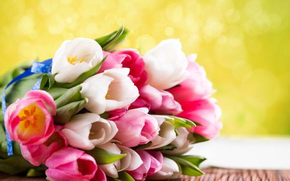三八妇女节送花的花语