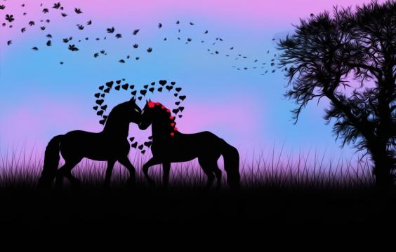 坠入爱河的两匹马