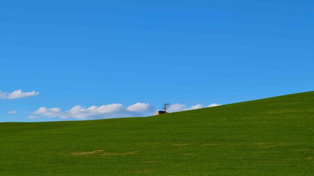 美丽的草地蓝天