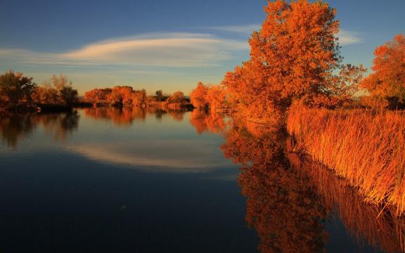 秋天里清澈的湖水风光