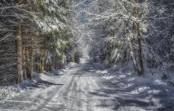 雪中森林的道路