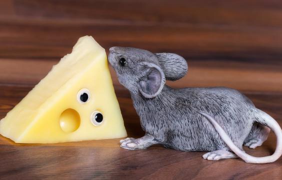 偷吃奶酪的玩具小老鼠