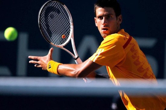 职业网球运动员德约科维奇