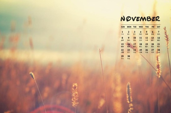 11月风景日历