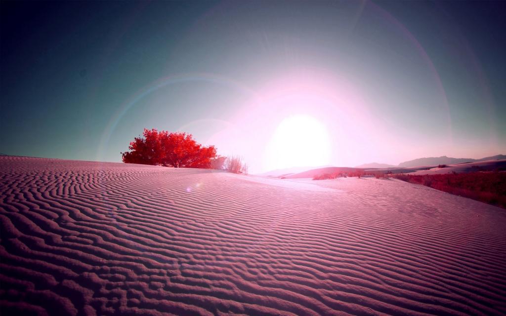 沙漠里的阳光自然风景