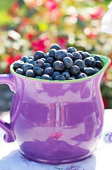 鲜嫩欲滴的蓝莓