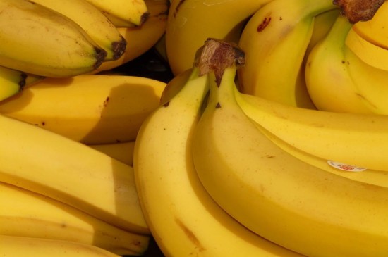 香蕉是芭蕉科芭蕉属植物