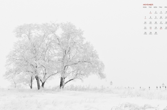 大雪中的树2022年11月日历壁纸