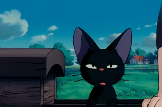 无语的小黑猫图片