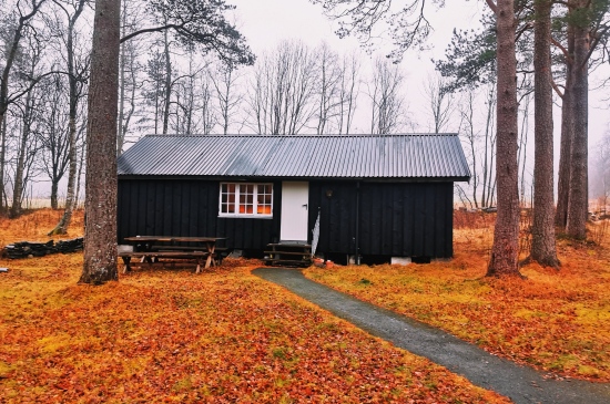 一座小屋在落叶满地的森林中图片