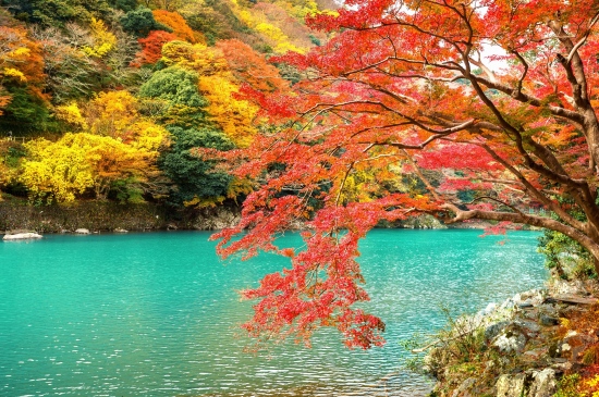 绝美动人的秋日湖泊图片