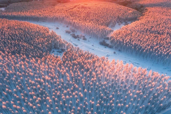 日出雪原壮观风景壁纸