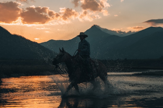 牛仔在夕阳下骑马涉水的图片