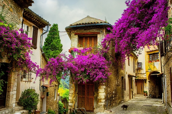法国普罗旺斯村庄风情图片