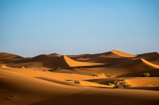蓝天下的壮丽沙漠风景图片