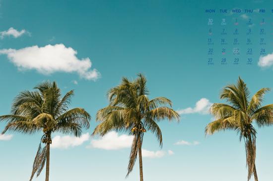 2022年6月海边椰树日历