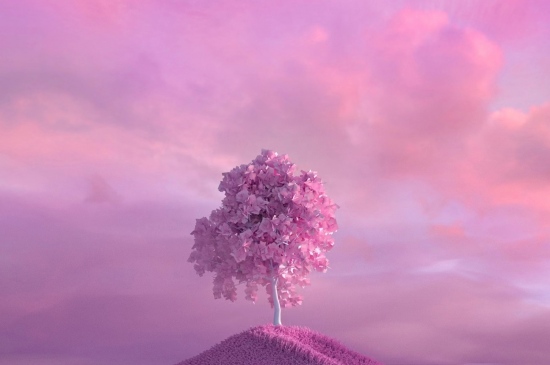 梦中的浪漫神树