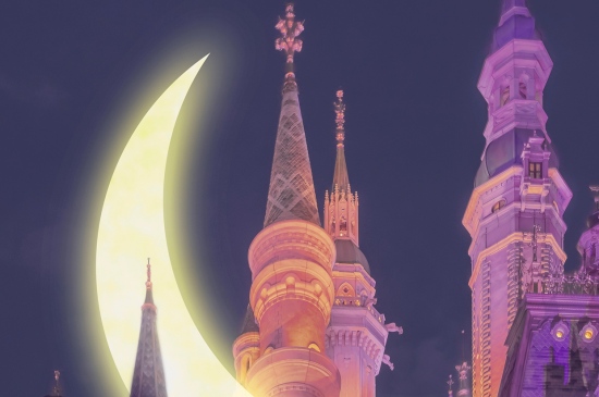 月色中的迪士尼城堡