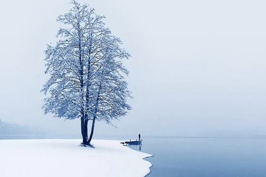 湖边雪色冬天主题壁纸