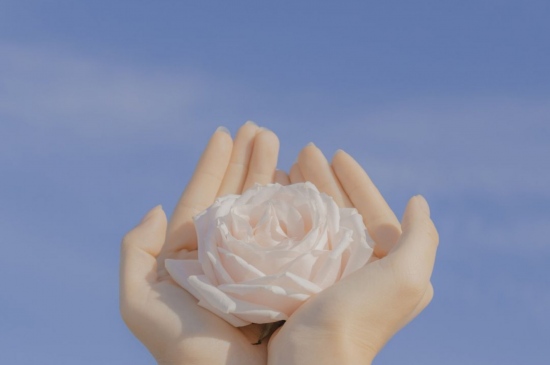 手心上的玫瑰花浪漫背景图