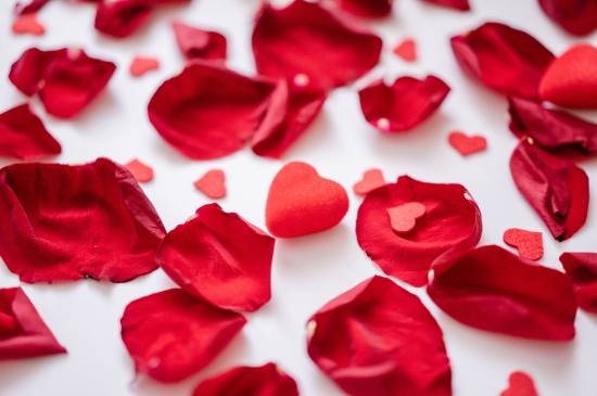 红玫瑰花瓣浪漫背景图