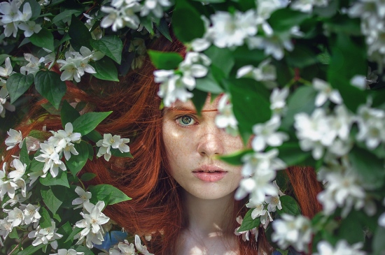 花丛中的红发女人图片