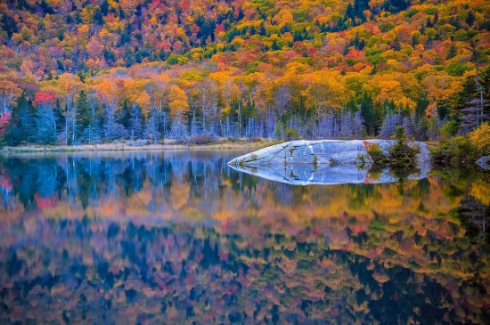 唯美的秋日树林湖泊图片