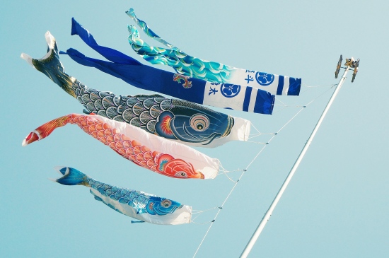 迎风飞扬的日本鲤鱼风筝壁纸