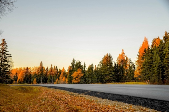 秋天树木围绕的公路图片