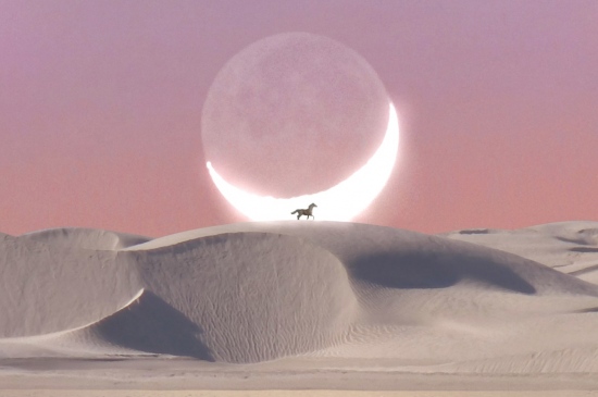 沙漠月亮唯美梦幻壁纸
