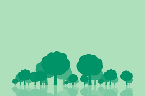 绿色树林iPhone手机壁纸