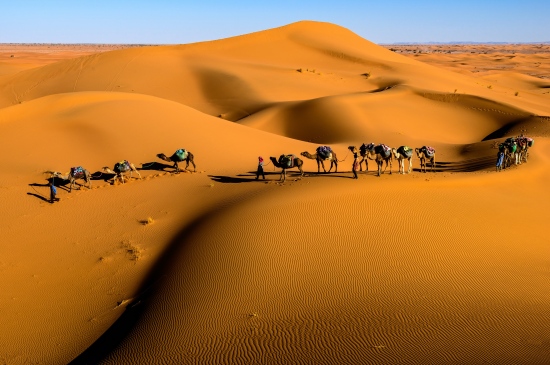 沙漠中的旅人高清精美壁纸