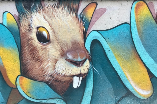 墙壁上的兔子涂鸦