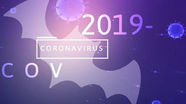 COVID-19新冠病毒结构背景简图