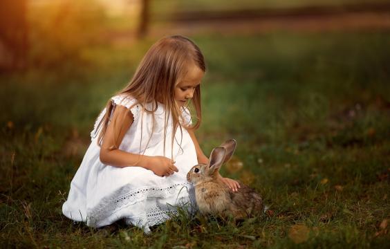 与兔子玩耍的可爱小天使