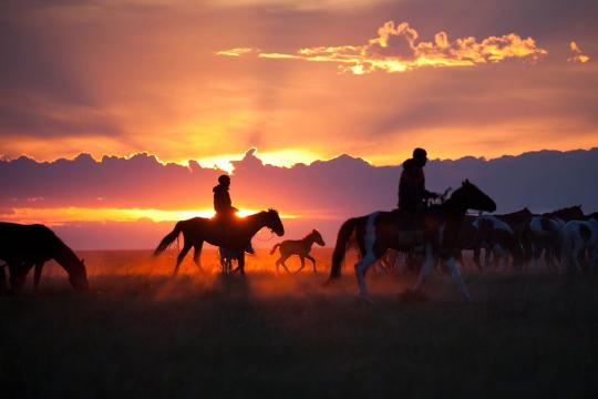 哈萨克斯坦草原的日落