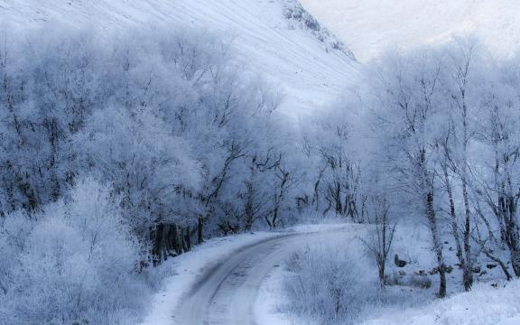 道路边的迷人雪景
