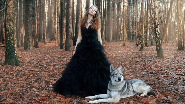 美女与狼最初的故事