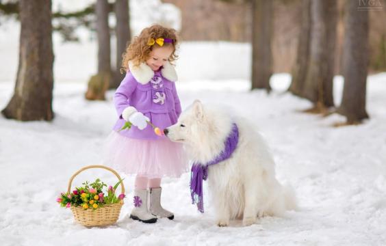 雪地中的狗狗与小萝莉