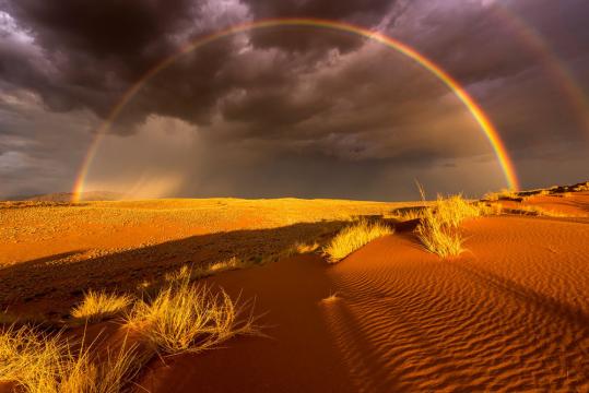 纳米布沙漠中的雨