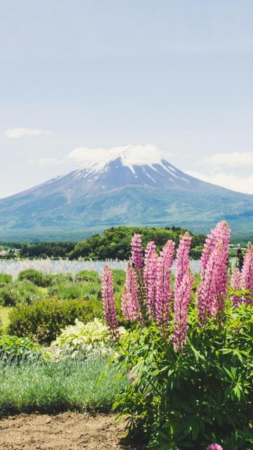 最佳旅游景点日本富士山