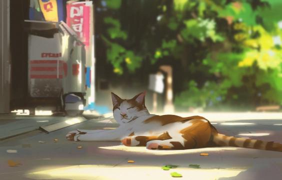 动漫中的夏日慵懒猫咪