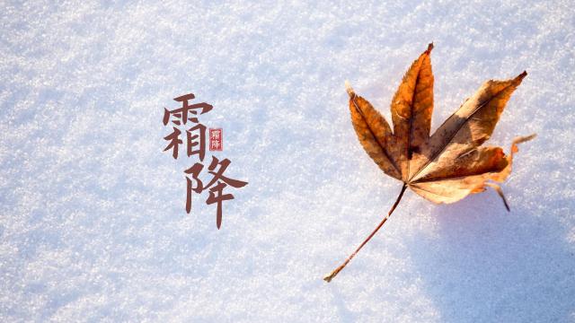 二十四节气霜降枫叶雪景