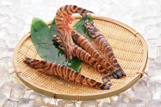 对虾是连云港著名海珍产品之一