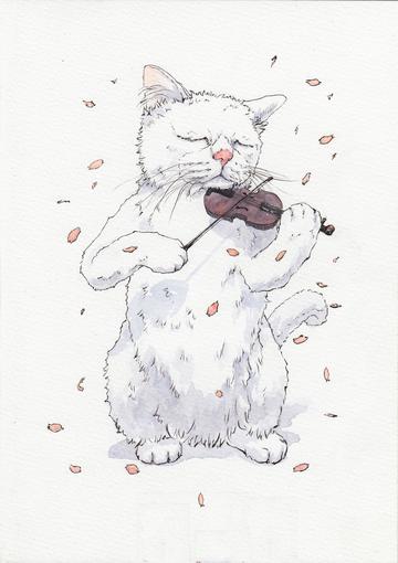 拉提琴的猫