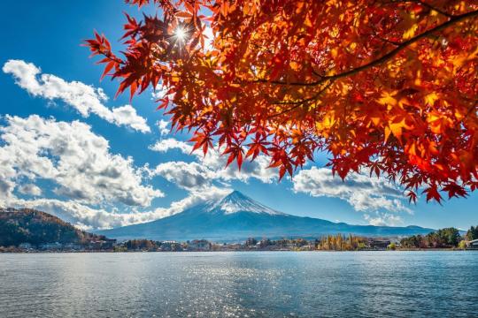 富士山的清新迷人秋季