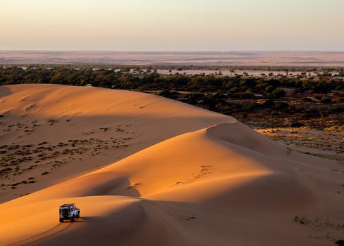 非洲纳米比亚的荒漠