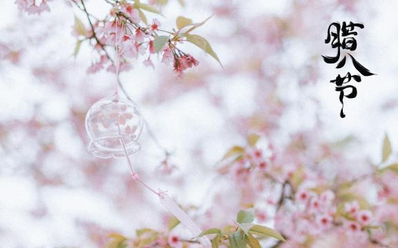 腊八节唯美小清新樱花风景
