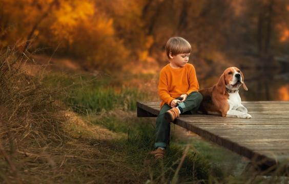 秋日森林里的小男孩和狗狗