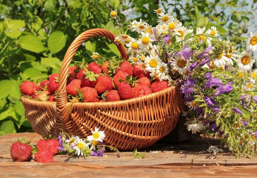 一篮子又甜又大的草莓
